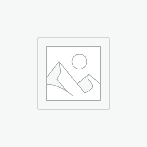 Baby Stroller with Ride-Along Board